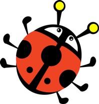 011 COCCINELLA