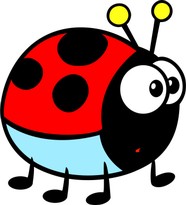 040 COCCINELLA